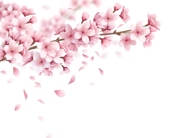 Fotobehang Takje in Bloemen