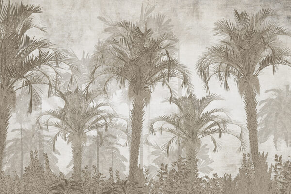 Fotobehang Exotische bomen in de mist