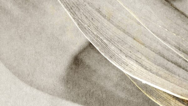 Fotobehang Een vleugje wind