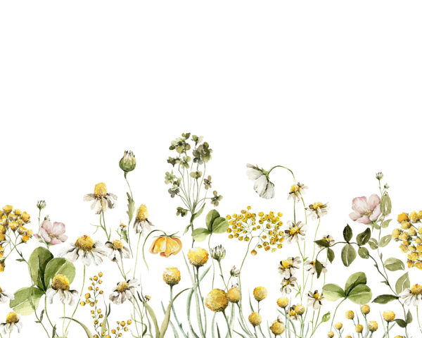 Fotobehang Vrijheid van Bloemen