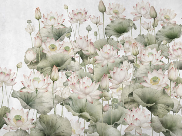 Fotobehang Waterlelies