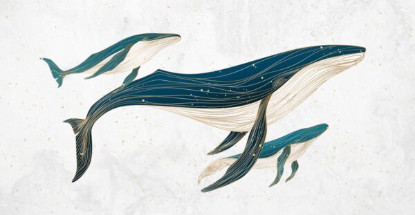 Fotobehang Reis van de walvissen