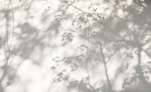 Fotobehang Stilte in de schaduw
