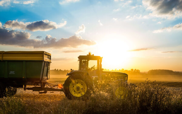 Fotobehang Tractor op het veld