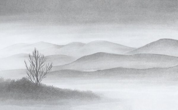 Fotobehang Mistige kalmte