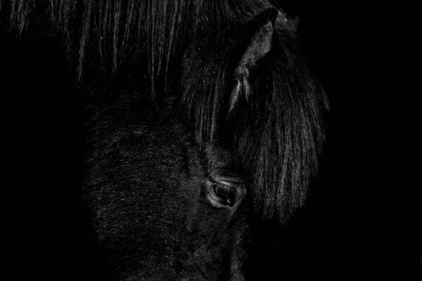 Fotobehang Stilte van de Nacht