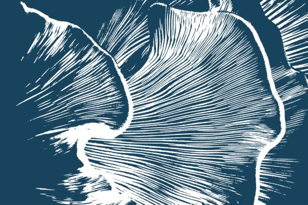 Fotobehang Kroon van de natuur