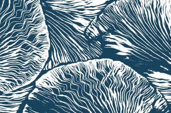 Fotobehang Vloeiende lamellen