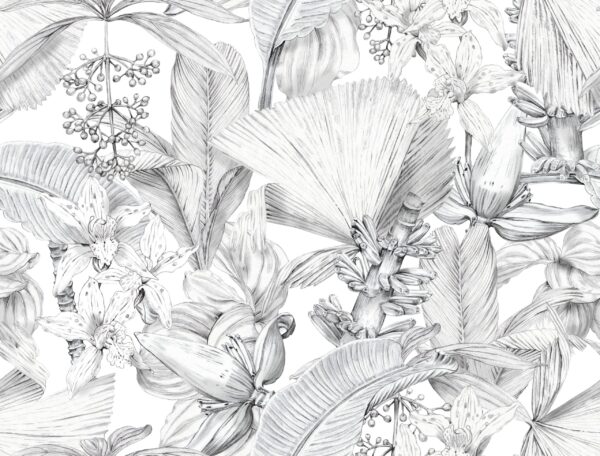 Fotobehang Botanische elegantie