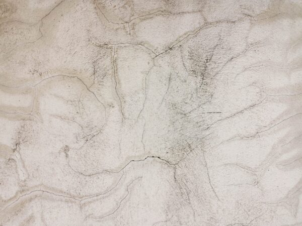 Fotobehang Sporen van de elementen