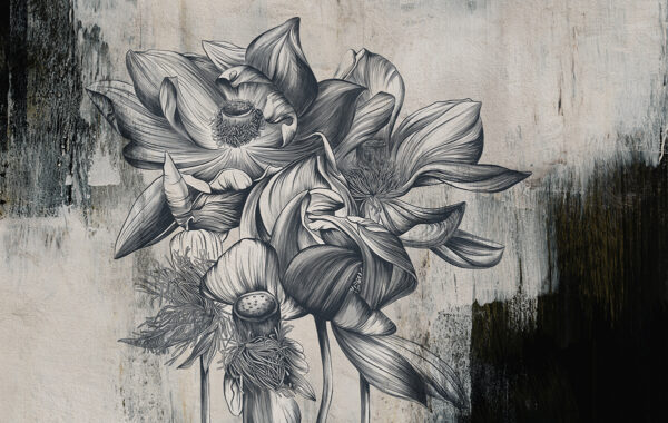 Fotobehang De stilte van de lotusbloemen