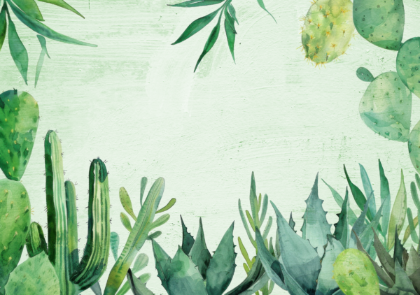 Fotobehang Cactussen in de groene tuin