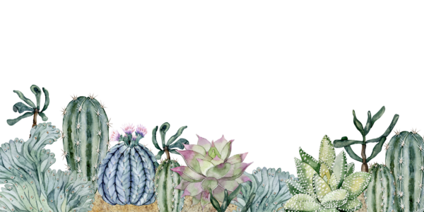 Fotobehang Aquarel cactussen