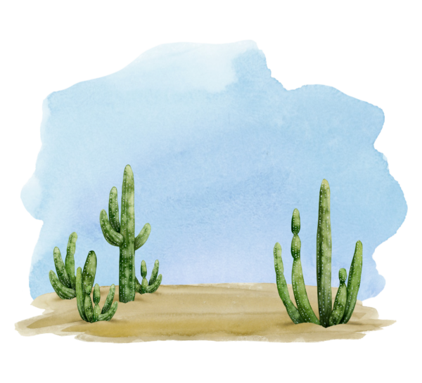 Fotobehang Cactussen onder de blauwe hemel