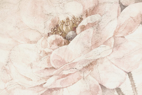 Fotobehang Bloem vast in de muur