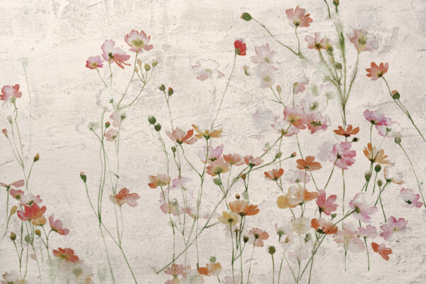 Fotobehang Wilde bloemen op gips