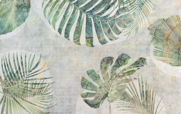 Fotobehang Monstera Groen
