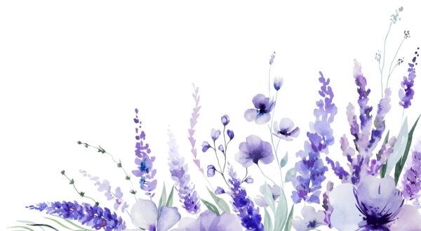 Fotobehang Lavendel op wit