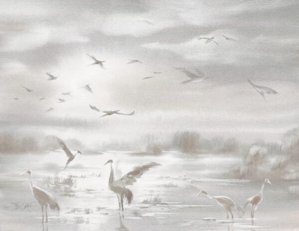 Fotobehang Vogels boven de binnenwateren