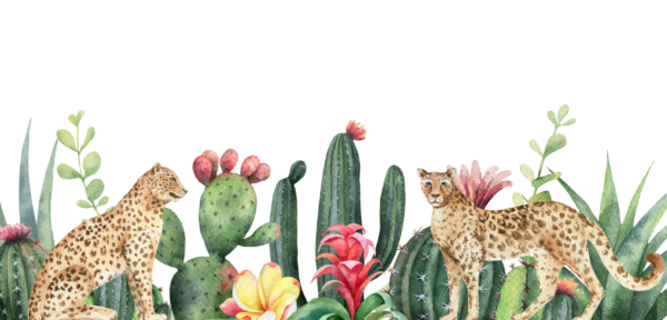 Fotobehang Jachtluipaarden tussen de cactussen