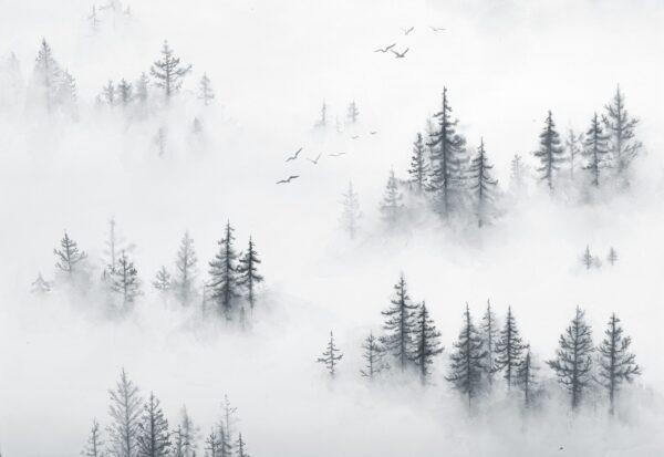 Fotobehang Grijs bos in dikke witte mist