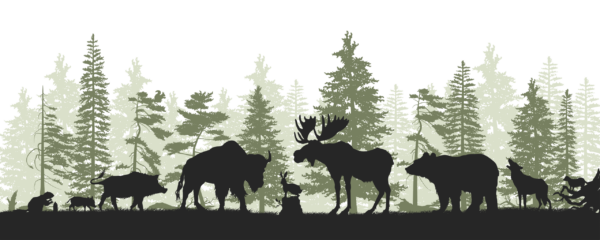 Fotobehang Beschermers van het bos