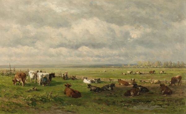Fotobehang Weide in de ochtend