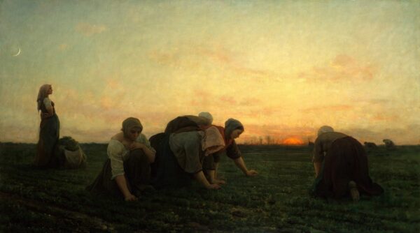 Fotobehang Boerderijwerk